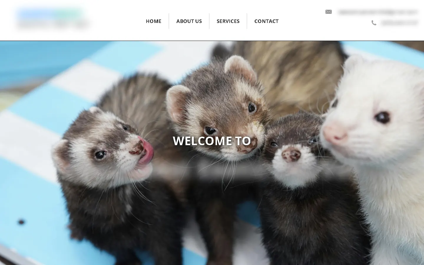 Their old website, with the business name, logo and phone number blurred